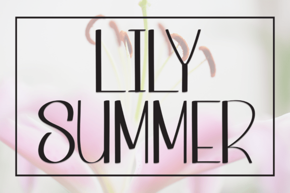Infusing Warmth and Playful Allure: A Designer’s Guide to the Lily Summer Font